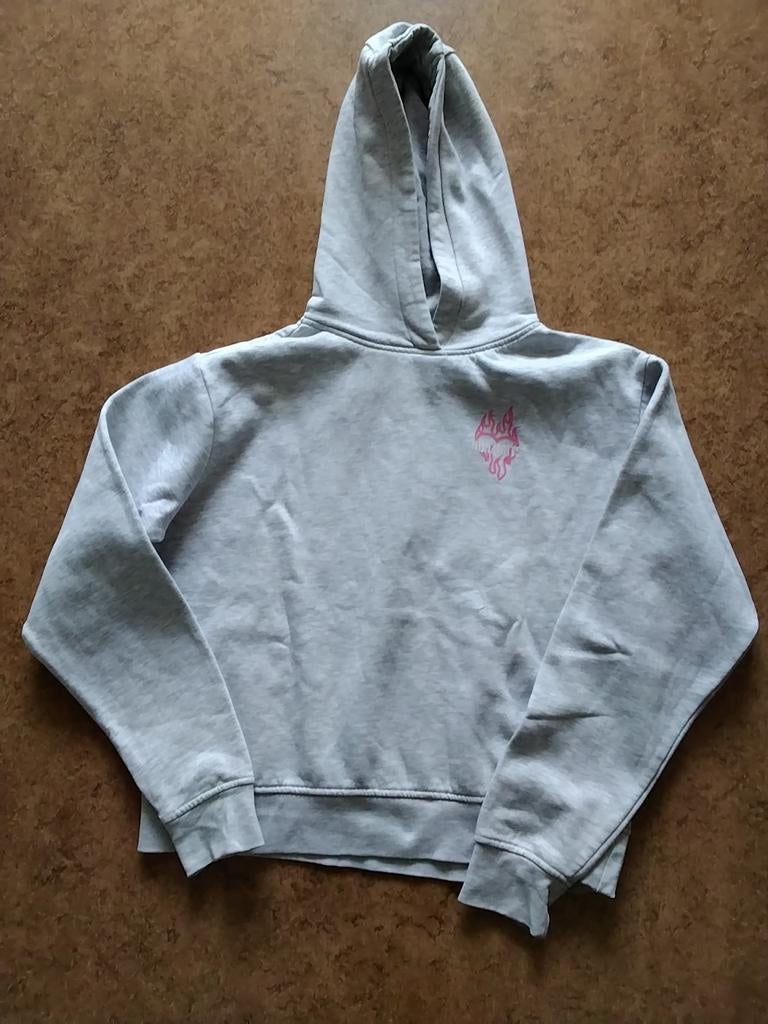 Grijze crop hoodie met roze print - Amy & Ivy, Kleding | Dames, Ophalen of Verzenden, Maat 34 (XS) of kleiner, Grijs, Amy & Ivy