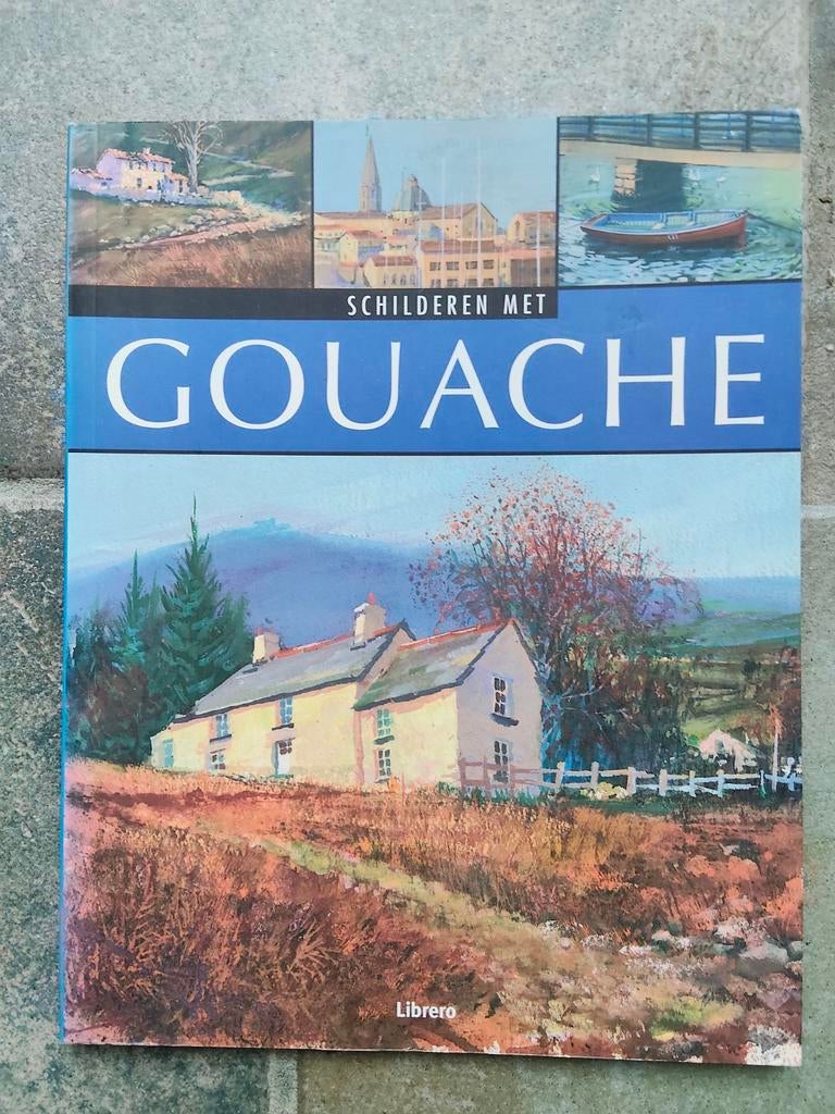 Boek: Schilderen met Gouache, Michael Sanders, Europa, Ophalen of Verzenden, Zo goed als nieuw, Reisgids of -boek