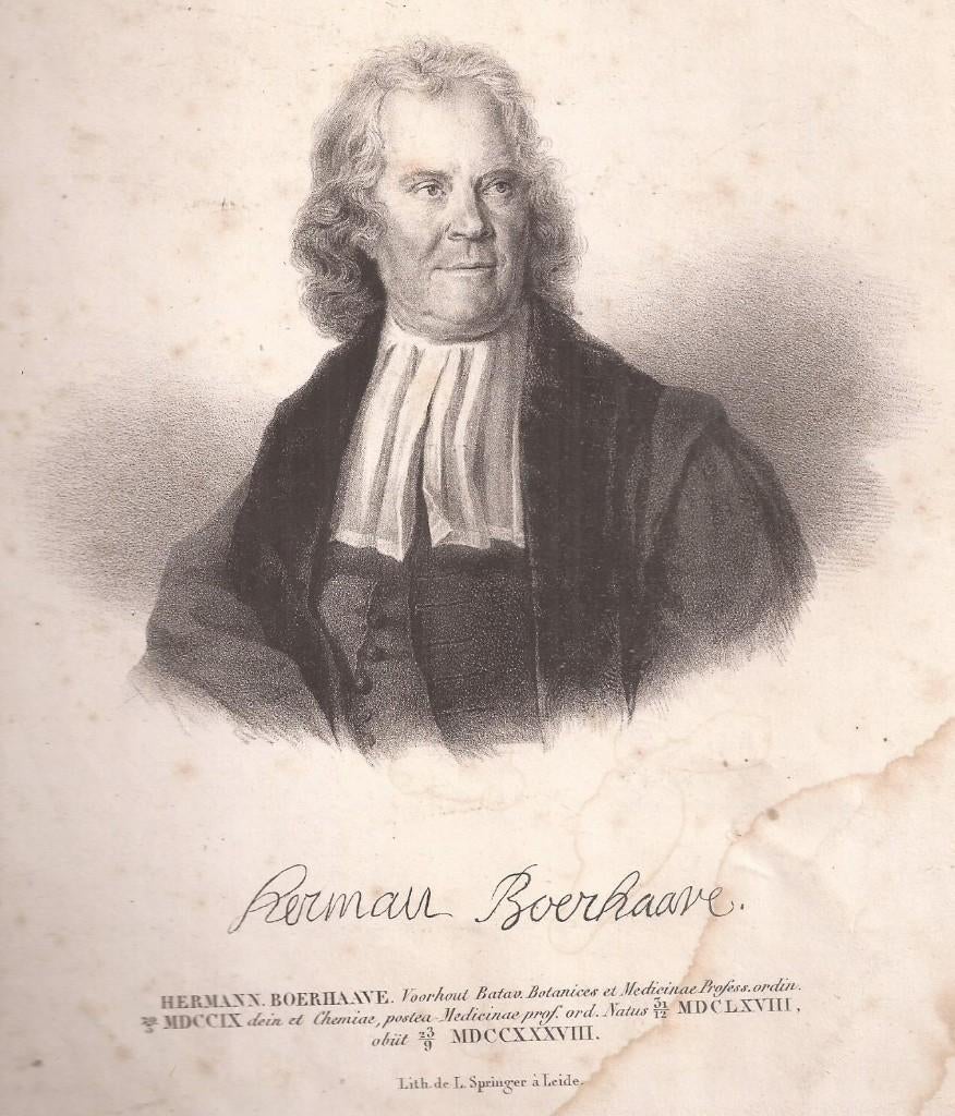 Portret Herman Boerhaave Litho Leendert Springer Leiden, Origineel, 1800 - 1899, Portret, Ophalen of Verzenden