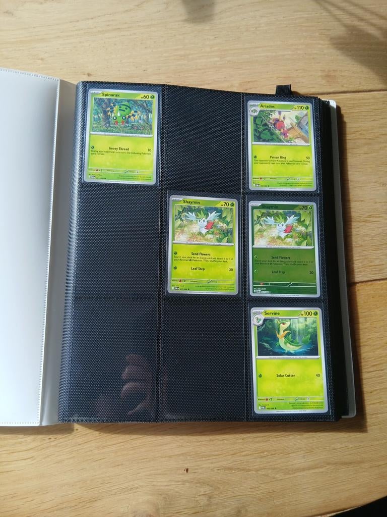 Perfect orde master set met binder, Hobby en Vrije tijd, Verzamelkaartspellen | Pokémon, Ophalen of Verzenden, Meerdere kaarten