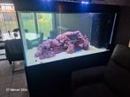 Zeeaquarium ( alles kan apart), Dieren en Toebehoren, Vissen | Aquaria en Toebehoren, Ophalen, Gebruikt, Leeg aquarium