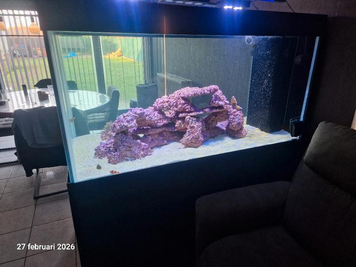 Zeeaquarium ( alles kan apart), Dieren en Toebehoren, Vissen | Aquaria en Toebehoren, Gebruikt, Leeg aquarium, Ophalen