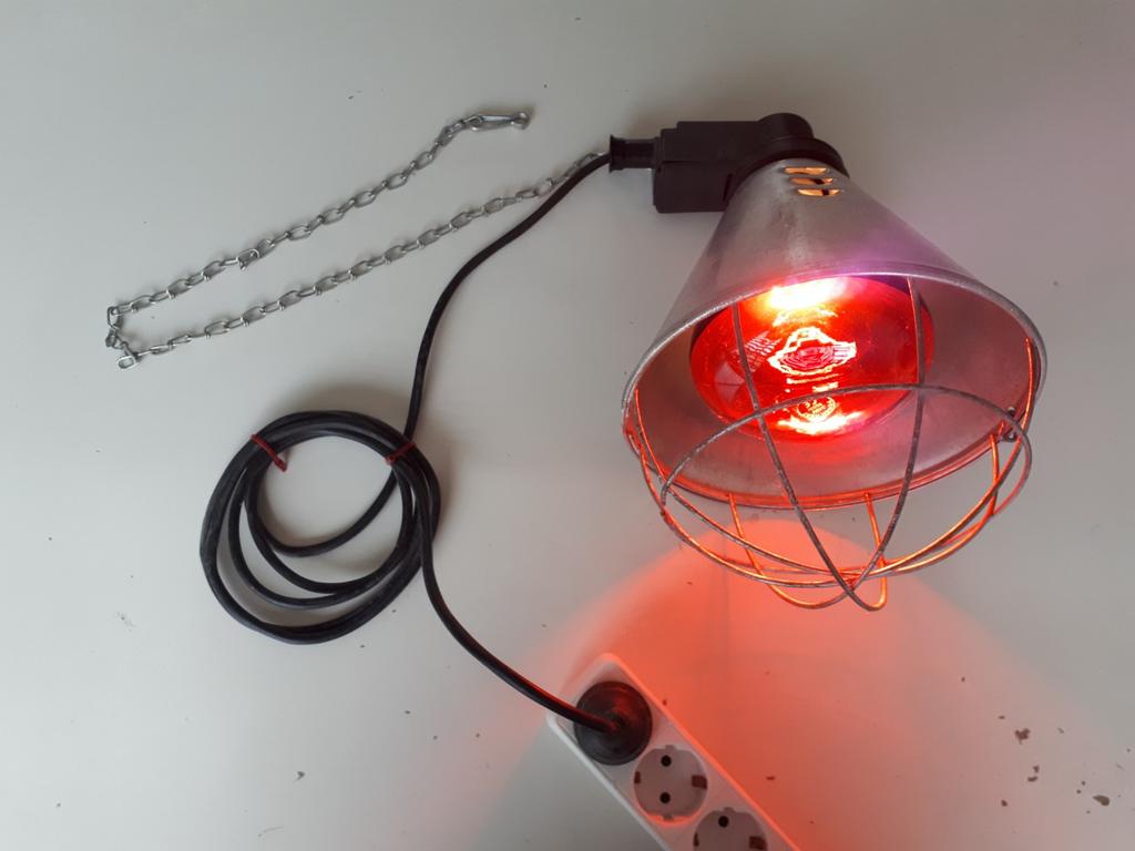 Infrarood warmtelamp, oa voor puppies katjes  kuikens vogels, Ophalen of Verzenden, Zo goed als nieuw