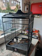 grote zangvogelkooi, Ophalen, Nieuw, Hout, Vogelkooi