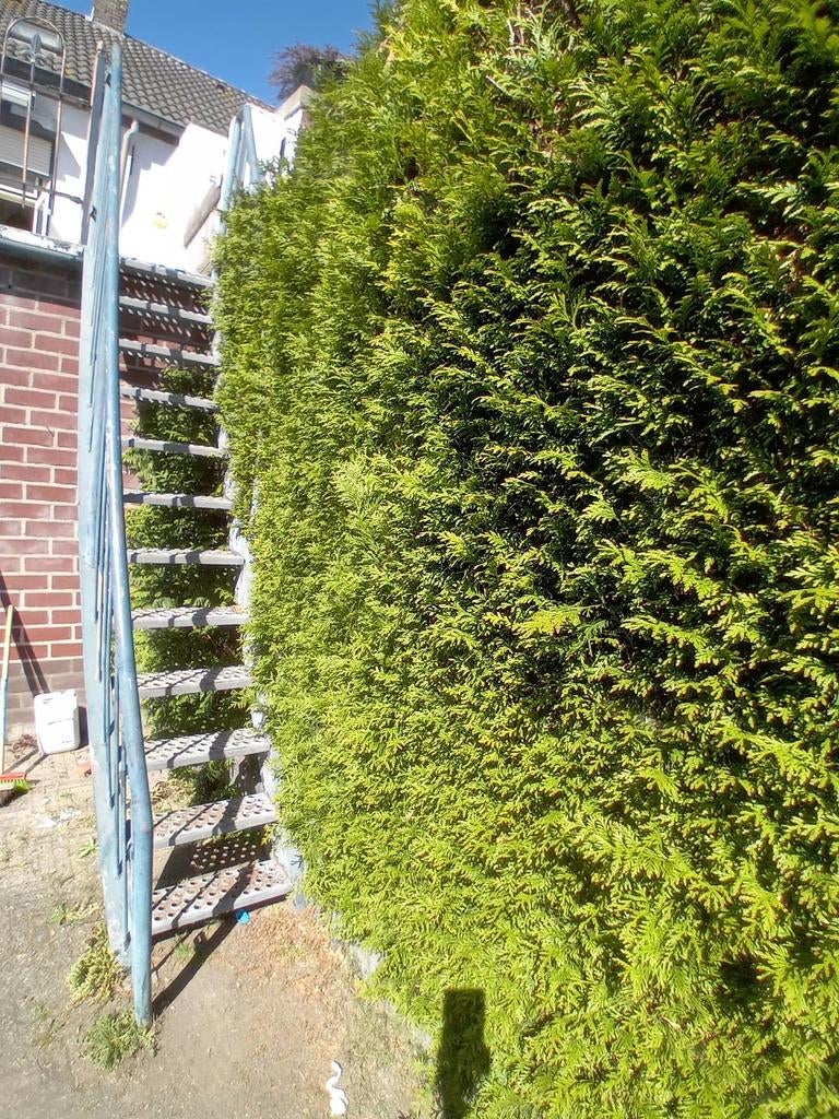 Stevige stalen trap met leuning, Ophalen of Verzenden, Gebruikt, Trap, 2 tot 4 meter