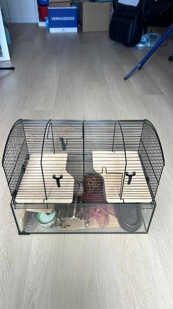 Dwerghamster kooi 50  30  35 cm, glazen onderkant, Dieren en Toebehoren, Kooi, Gebruikt, Minder dan 75 cm, Hamster