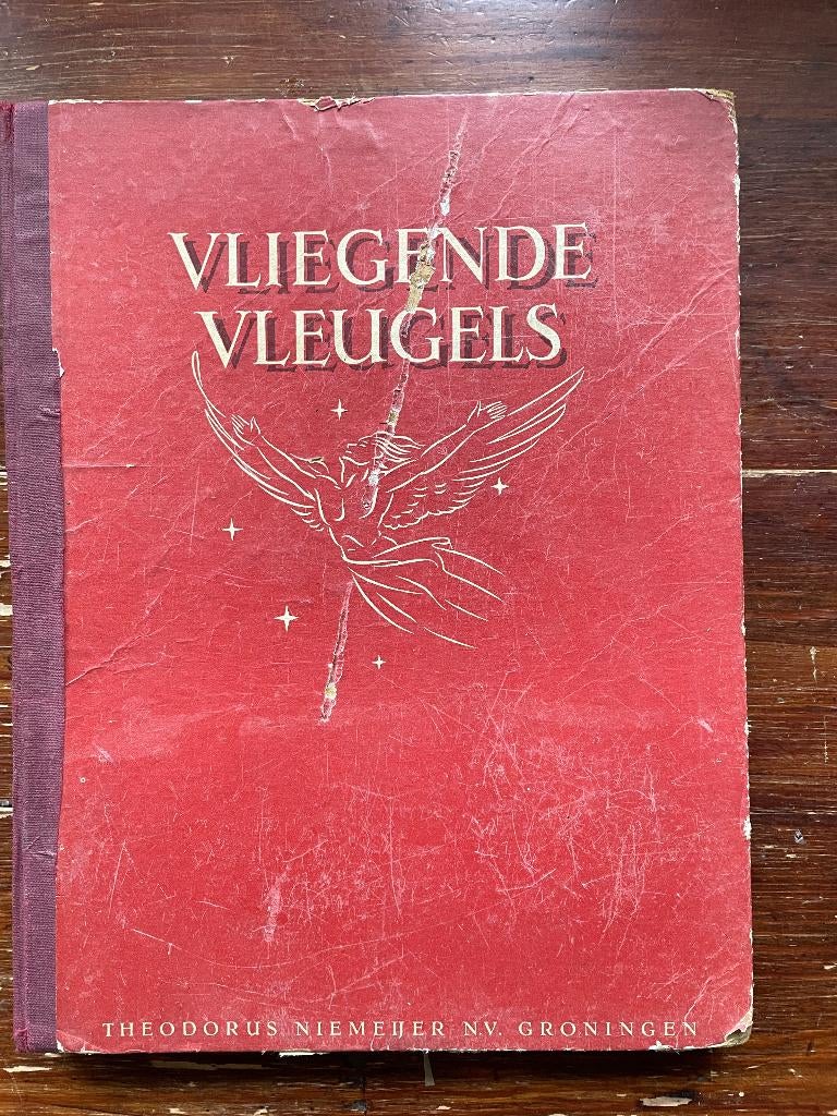 C. van Steenderen Vliegende Vleugels deel 2 1949 (compleet), Boeken, Ophalen of Verzenden, Gelezen, C. van Steenderen, Plaatjesalbum