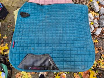 Lemieux dekje dresuur  beschikbaar voor biedingen