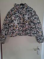 Dames winterjas van The Superdry, Ophalen of Verzenden, Gedragen, Maat 38/40 (M), Blauw