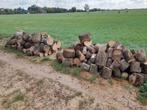 Haardhout blokken, essenhout,zo goed als droog., Tuin en Terras, Haardhout, Minder dan 3 m³, Ophalen