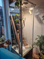 Terrarium 60x60x200cm, Dieren en Toebehoren, Reptielen en Amfibieën | Toebehoren, Ophalen, Zo goed als nieuw