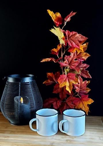 Emaille beker wit met zwarte rand NO 5 beschikbaar voor biedingen