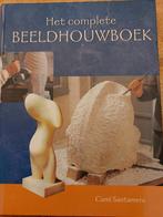 J.T. I. Cami - Het complete beeldhouwboek, Boeken, Ophalen of Verzenden, Zo goed als nieuw, J.T. I. Cami; J.C. Santamera