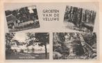 VELUWE Schaapskooi Heide Bos Groeten 1950, Verzamelen, Verzenden, 1940 tot 1960, Gelopen, Gelderland