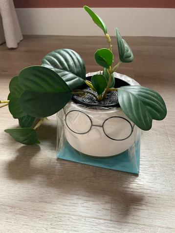 Potje met kunstplant 