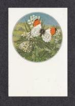 Vlinderkaart Vlinder Oranjetip Kennemerland 1979., Overige soorten, 1960 tot 1980, Ongelopen, Ophalen of Verzenden