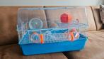 Knaagdierenkooi / hamsterkooi, Dieren en Toebehoren, Knaagdieren en Konijnen | Hokken en Kooien, Kooi, Gebruikt, Minder dan 75 cm