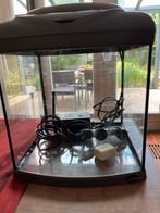 Aquarium Superfish 40, Dieren en Toebehoren, Vissen | Aquaria en Toebehoren, Ophalen of Verzenden, Zo goed als nieuw, Leeg aquarium