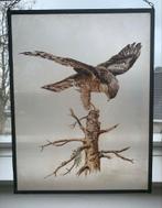 Raamhanger Gebrandschilderde Havik, Antiek en Kunst, Ophalen of Verzenden