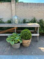 Zinken draadmand stoer, decoratief ideaal planten/haardhout, Ophalen, Minder dan 3 meter, Zo goed als nieuw, Minder dan 1 meter