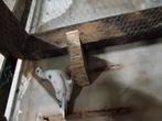 Amsterdamse tippler koppel, Dieren en Toebehoren, Meerdere dieren, Tropenvogel