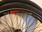 Mountainbike Wielen - Alexrims Ready Race, Ophalen, Gebruikt, Mountainbike, Wiel