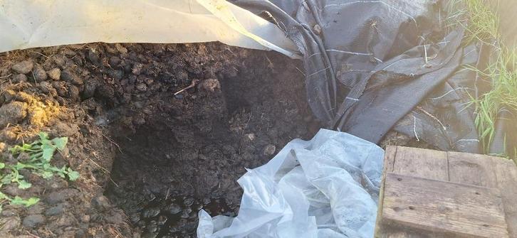 Gratis Paardenmest in Benningbroek, Tuin en Terras, Aarde en Mest, Overige typen, Ophalen