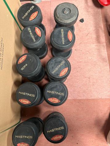 Hastings Dumbbells - 12 t/m 20 kg beschikbaar voor biedingen