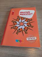 Studieboek; muziek meester, Boeken, Ophalen of Verzenden, Alpha, Zo goed als nieuw, HBO