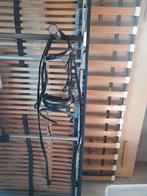 Pagony bridle special flash zwart lederen hoofdstel maat Cob, Ophalen of Verzenden, Nieuw, Overige soorten