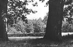 977030 Hoenderloo Otterlo Gld 1951 Boerderij de Pampel Nette, Ophalen of Verzenden, 1940 tot 1960, Ongelopen, Gelderland