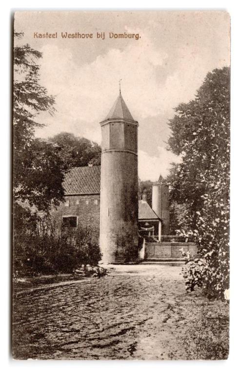 Domburg, Kasteel Westhove bij Domburg, Verzamelen, Ansichtkaarten | Nederland, Ongelopen, Zeeland, 1920 tot 1940, Verzenden