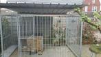 Hondenkennels Gegalvaniseerd met 5 Jaar garantie, Dieren en Toebehoren, Ophalen of Verzenden
