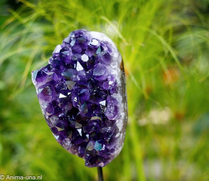 amethist cluster EX op metalen standaard, Verzamelen, Mineralen en Fossielen, Mineraal, Ophalen of Verzenden