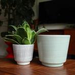 Set vintage plantenpotten wit, grijs en mintgroen, Rond, Ophalen of Verzenden, Zo goed als nieuw, Minder dan 25 cm