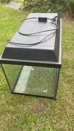 Aquarium, Dieren en Toebehoren, Vissen | Aquaria en Toebehoren, Ophalen, Gebruikt, Leeg aquarium