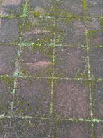 Gratis tegels 50x50 cm - 43 stuks, Tuin en Terras, Ophalen, Gebruikt, 5 tot 10 m², Beton