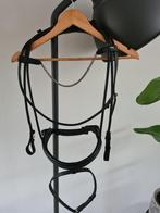 Hoofdstel, Ophalen of Verzenden, Nieuw, Dressuur