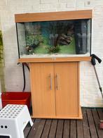 Aquarium met onder kast plus alle spullen er bij, Dieren en Toebehoren, Vis