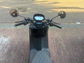 Bieden vanaf 675! cooter NIU N1S geel kenteken  beschikbaar voor biedingen