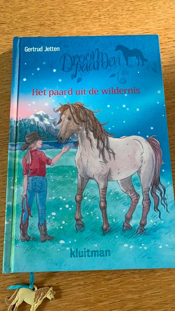 Gertrud Jetten - Het paard uit de wildernis, Boeken, Kinderboeken | Jeugd | onder 10 jaar, Zo goed als nieuw, Fictie algemeen