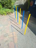 Agility slalom set, behendigheidstraining, Dieren en Toebehoren, Ophalen of Verzenden, Zo goed als nieuw, Behendigheidspeelgoed