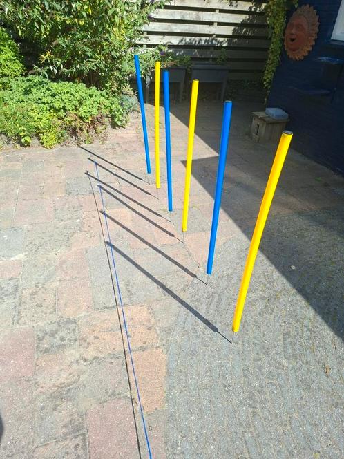 Agility slalom set, behendigheidstraining, Dieren en Toebehoren, Hondenspeelgoed, Zo goed als nieuw, Behendigheidspeelgoed, Ophalen of Verzenden