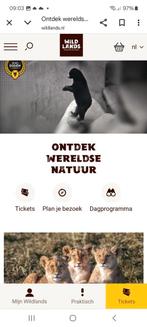 2 entreekaartjes voor 21 juni, Tickets en Kaartjes, Twee personen