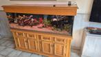 compleet aquarium te koop, Ophalen, Zo goed als nieuw, Leeg aquarium