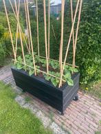 Planten bak op maat gemaakt voor een bonen haag, Nieuw, Rechthoekig, Hout, Tuin