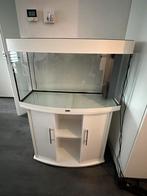 Juwel vision 180, Dieren en Toebehoren, Vissen | Aquaria en Toebehoren, Ophalen, Zo goed als nieuw