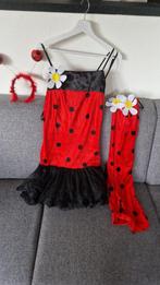 carnavalsset jurk lieveheersbeestje, Kleding | Dames, Maat 38/40 (M), Carnaval, Partyhits, Ophalen of Verzenden