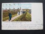 Ansichtkaart Kronings Voorstelling Koningin Renkummer Heide, Ophalen of Verzenden, Voor 1920, Gelopen, Sterren en Beroemdheden