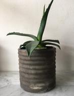 Robuuste luxe kwaliteit vintage bloempotten diverse retro, Rond, Binnen, Ophalen of Verzenden, Zo goed als nieuw